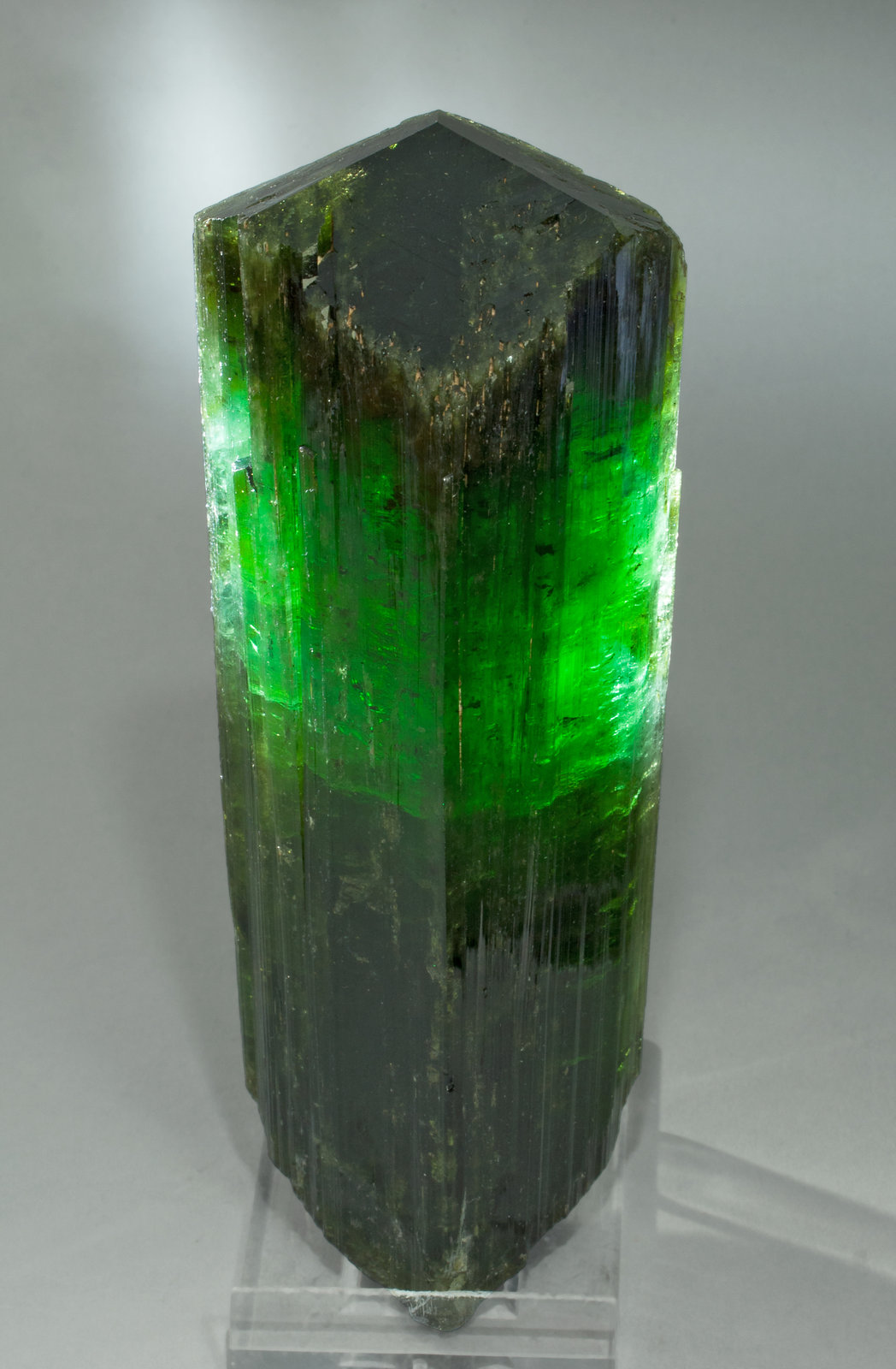 specimens/s_imagesY4/Elbaite-VA27Y4f2.jpg