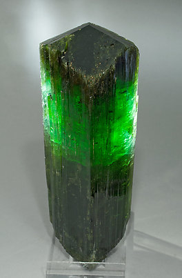 Elbaite. Light behind