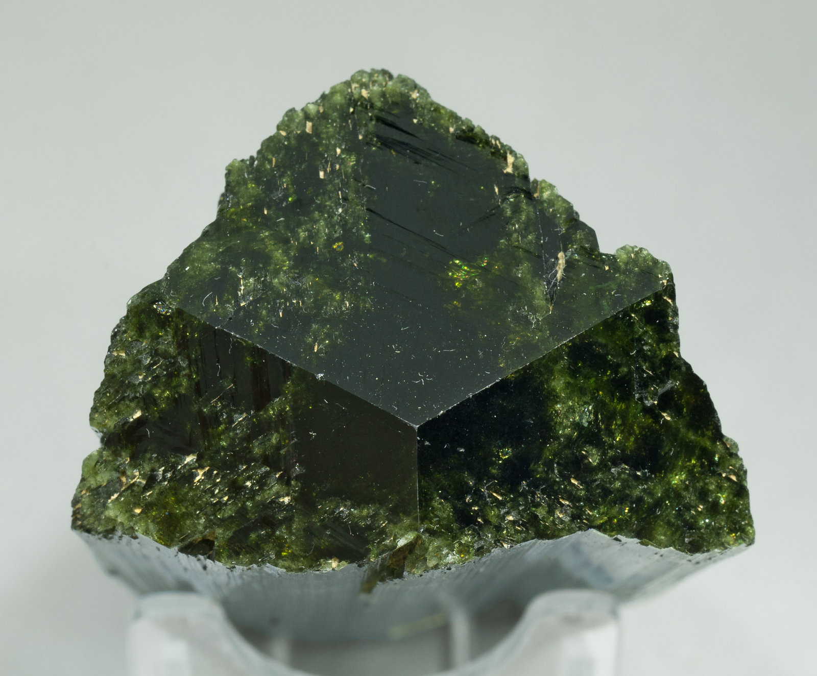 specimens/s_imagesY4/Elbaite-VA27Y4t.jpg