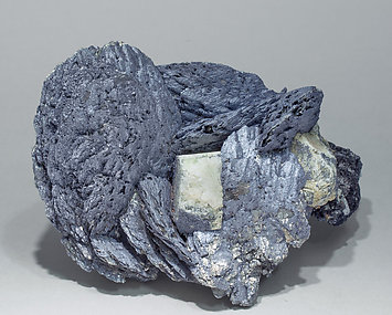 Löllingite with Molybdenite, Scheelite and Magnetite. Side