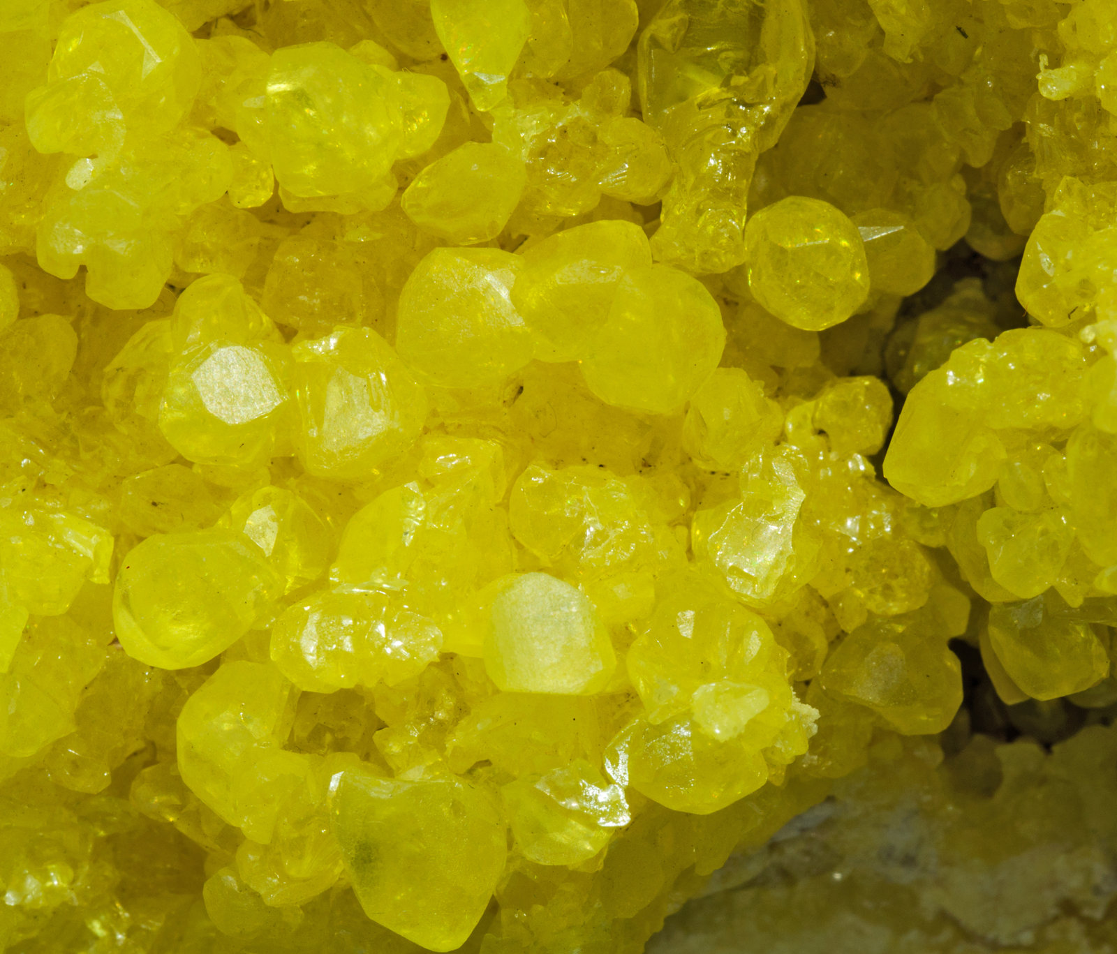 specimens/s_imagesY4/Sulfur-EA56Y4d.jpg