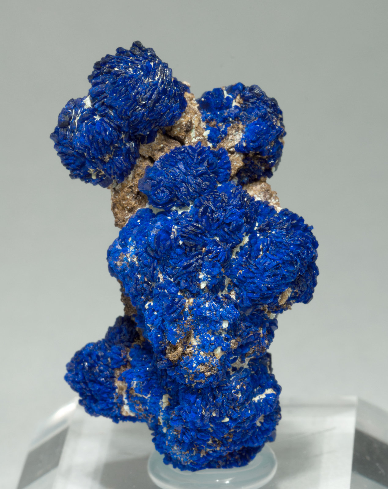 specimens/s_imagesY5/Azurite-NL59Y5f.jpg