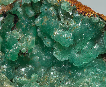 Adamite (variety cuprian). 