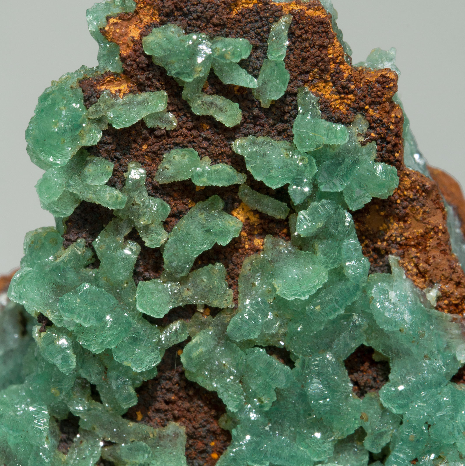 specimens/s_imagesY6/Adamite_Cuprian-EC14Y6d.jpg