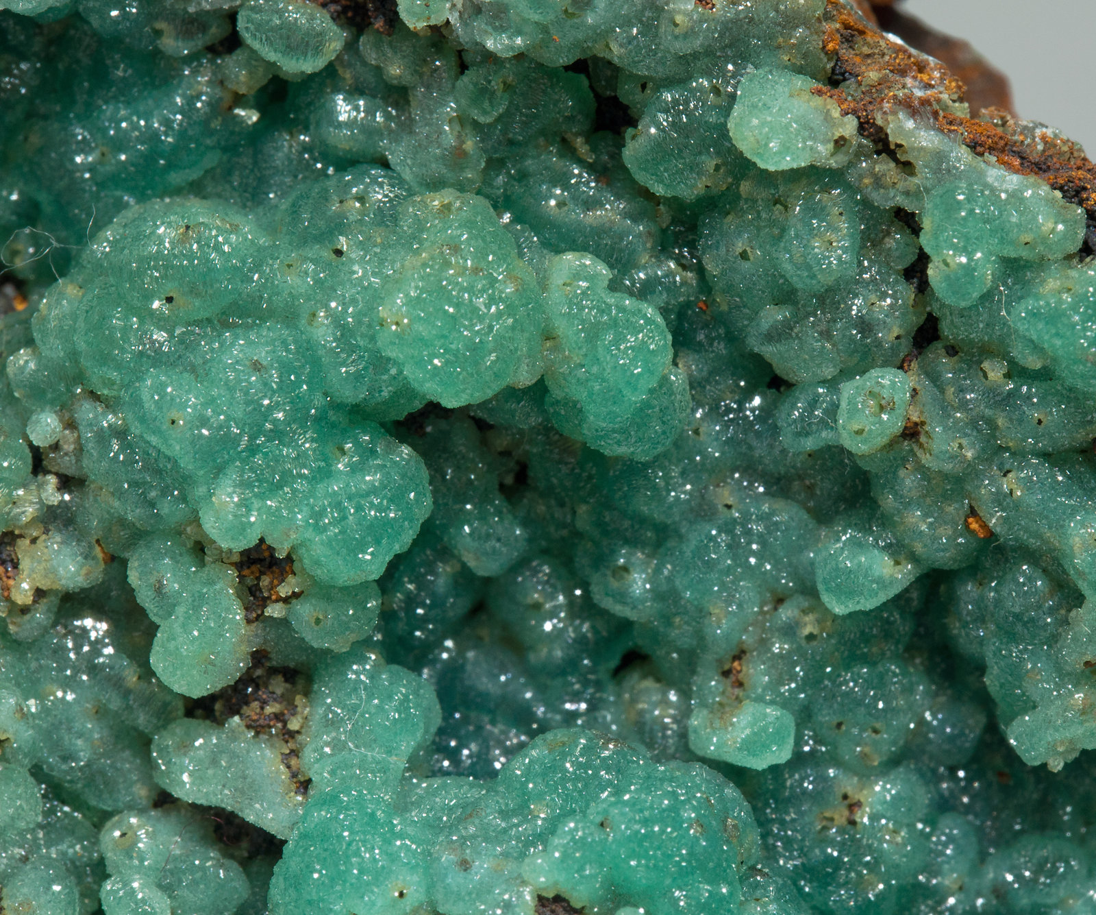 specimens/s_imagesY6/Adamite_Cuprian-EE66Y6d.jpg