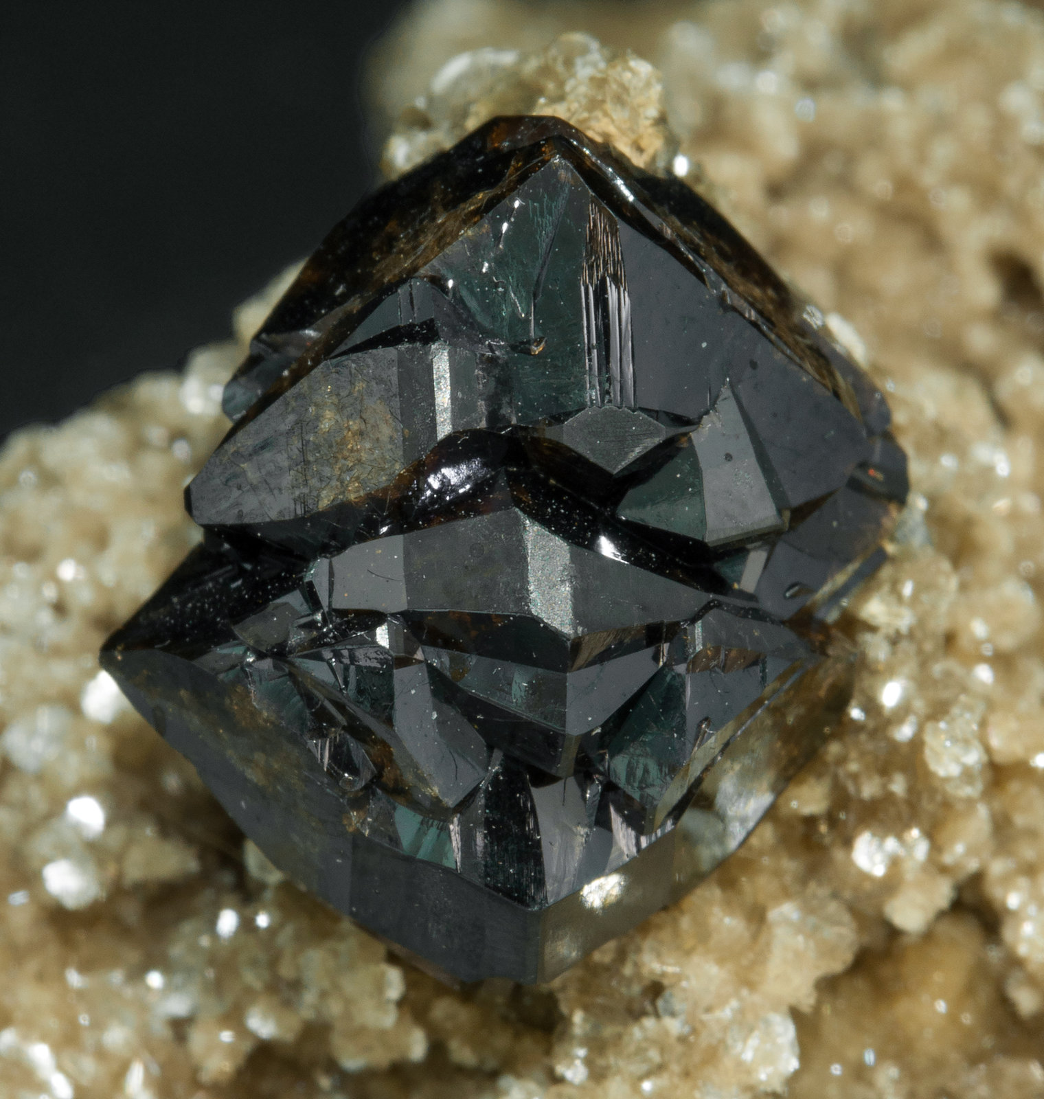 specimens/s_imagesY6/Cassiterite-AB47Y6d.jpg