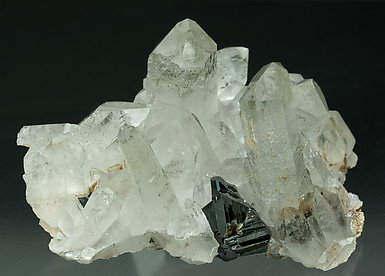 Cassiterite with Quartz and Siderite.