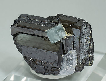 Ferberite with Fluorapatite, Quartz and Muscovite. 