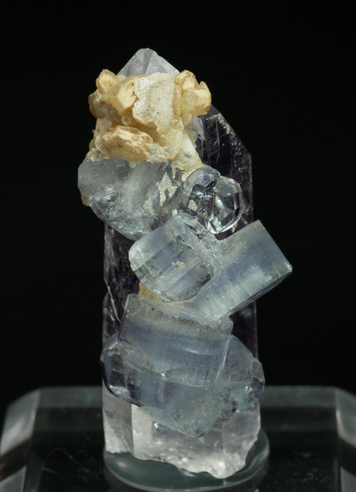 specimens/s_imagesY6/Fluorapatite-AJ27Y6s.jpg