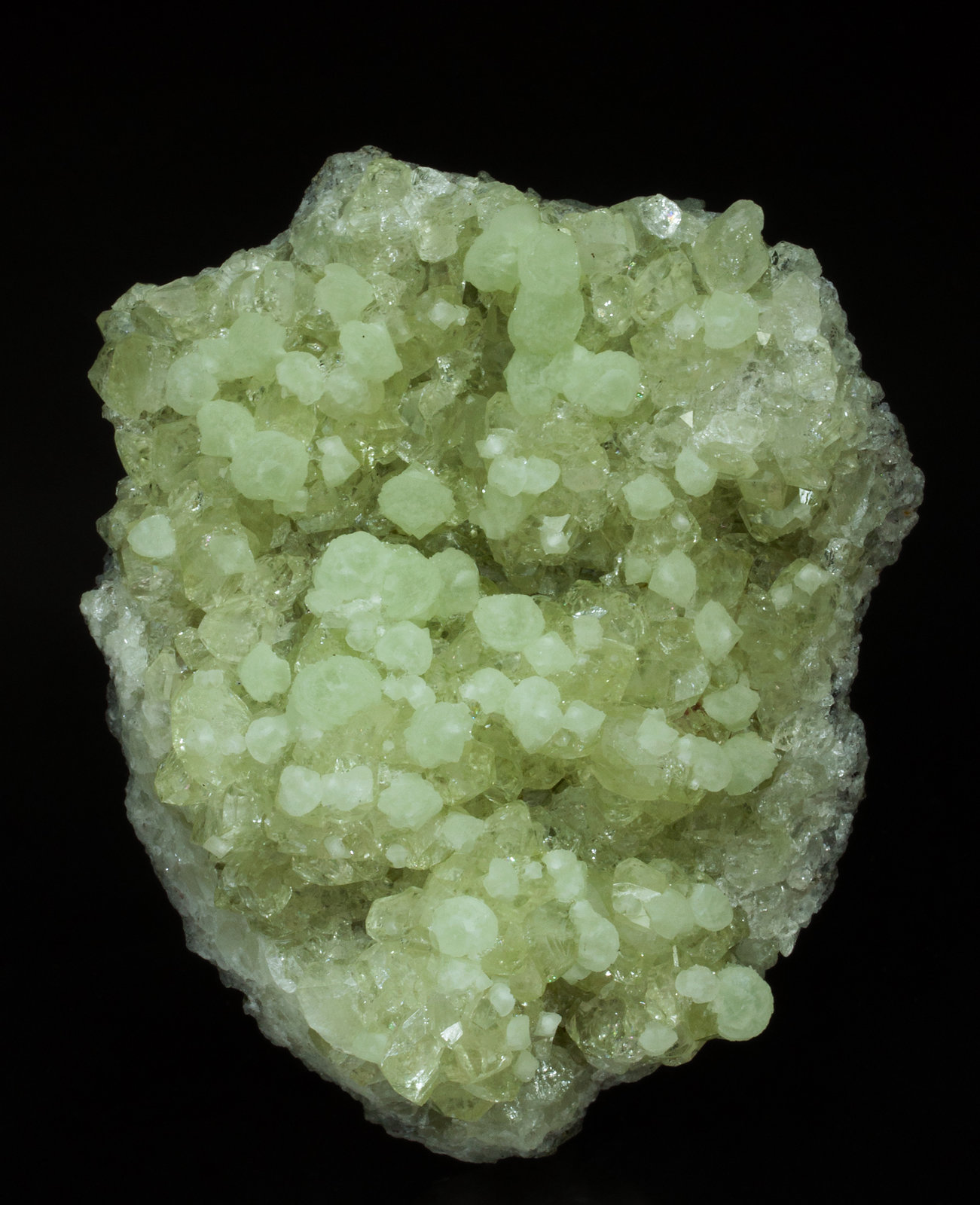 specimens/s_imagesY6/Prehnite-TC47Y6f.jpg