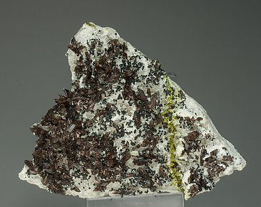 Axinite-(Fe) with Albite and Epidote.