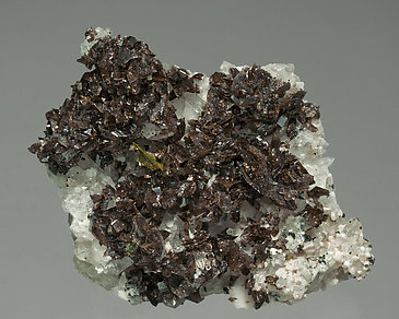 Axinite-(Fe) with Quartz and Albite.