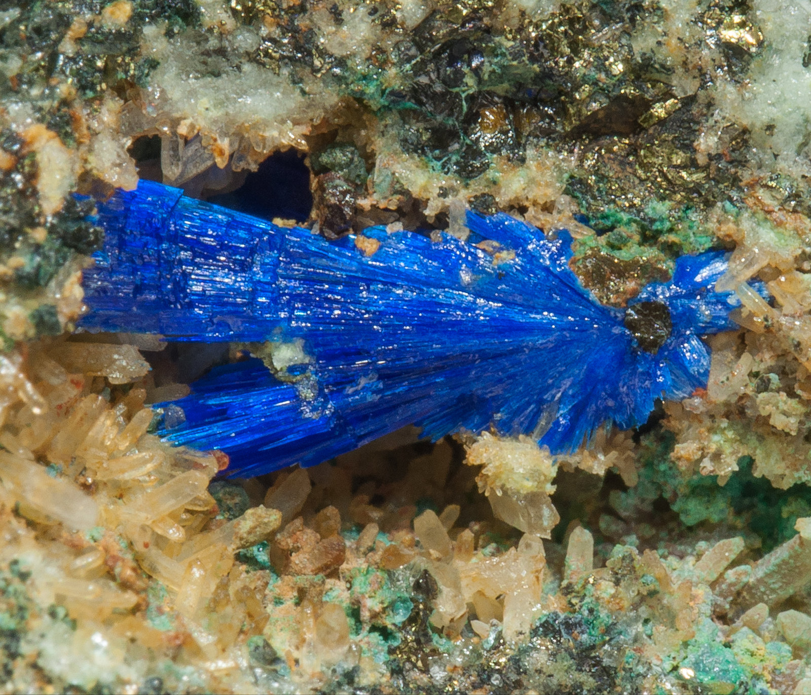 specimens/s_imagesY7/Linarite-EJ36Y7d.jpg