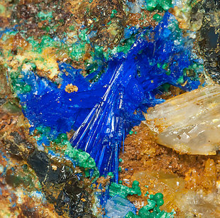 Linarite with Cerussite and Brochantite. 