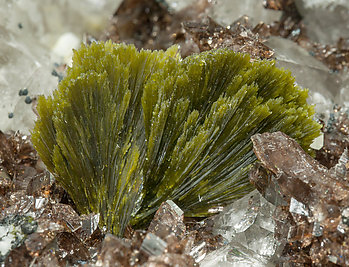 Axinite-(Fe) with Quartz and Epidote. 