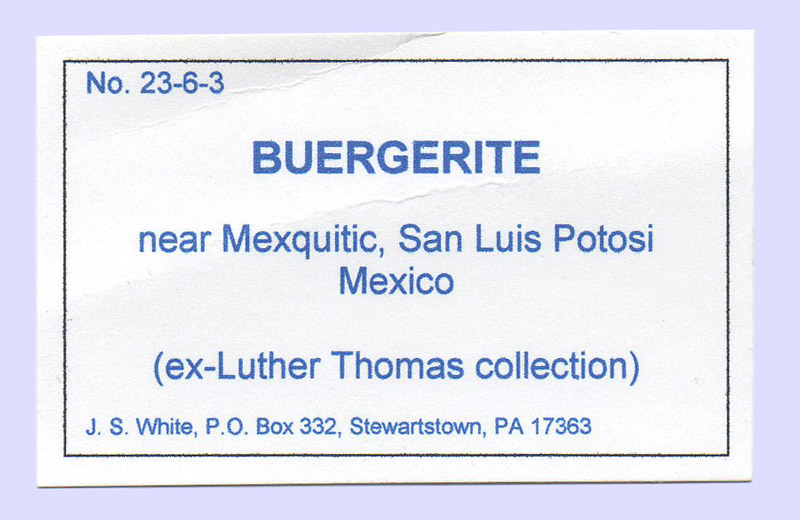 specimens/s_imagesY8/Fluor-Buergerite-EG46Y8e.jpg