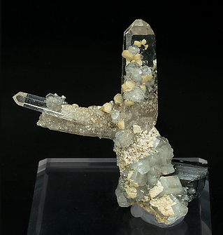 Quartz, Ferberite, Fluorapatite, Muscovita, Sphalerite, Siderite, Arsenopyrite and Pyrite. Front