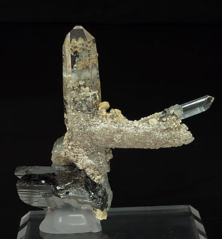 Quartz, Ferberite, Fluorapatite, Muscovita, Sphalerite, Siderite, Arsenopyrite and Pyrite. Rear