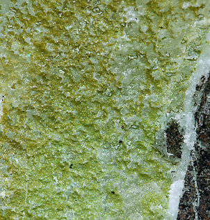 Aurichalcite on Calcite with Aurichalcite inclusions (variety zeiringite). 