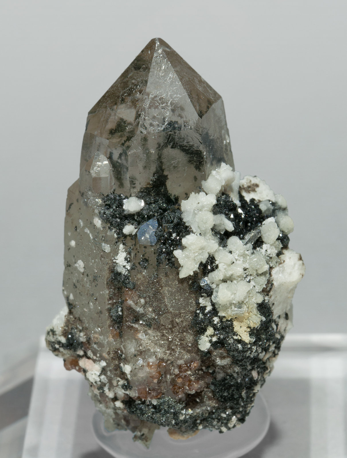 specimens/s_imagesY9/Bavenite-ND62Y9f.jpg