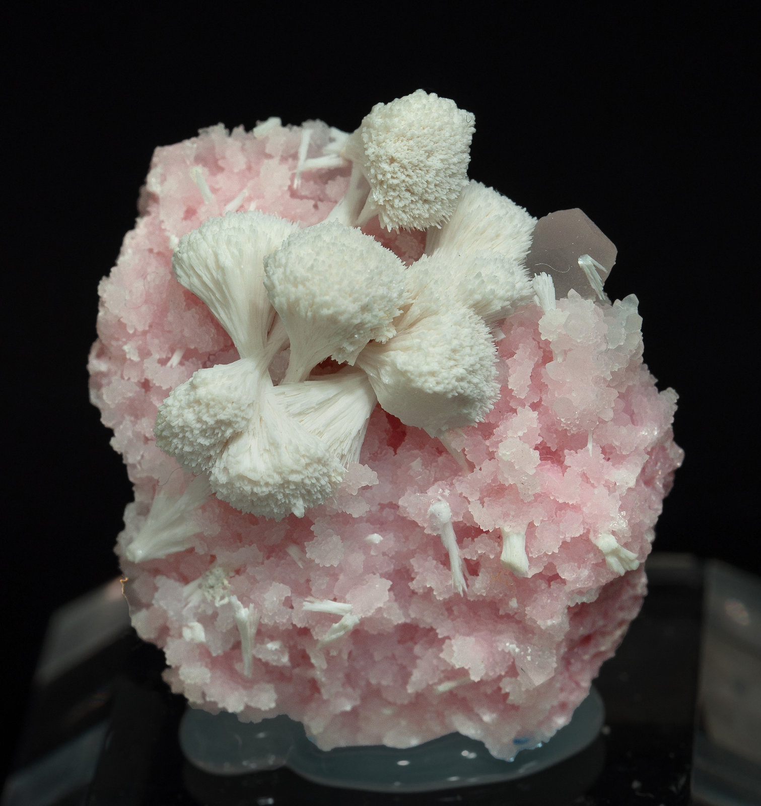 specimens/s_imagesY9/Calcite-ME63Y9f.jpg