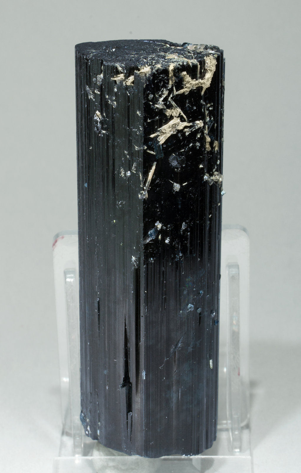 specimens/s_imagesY9/Elbaite_Indicolite-VC29Y9f.jpg