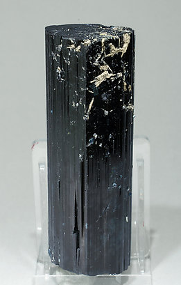 Elbaite (variety indicolite) with Fluorapatite. Front