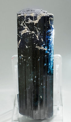 Elbaite (variety indicolite) with Fluorapatite. Light behind