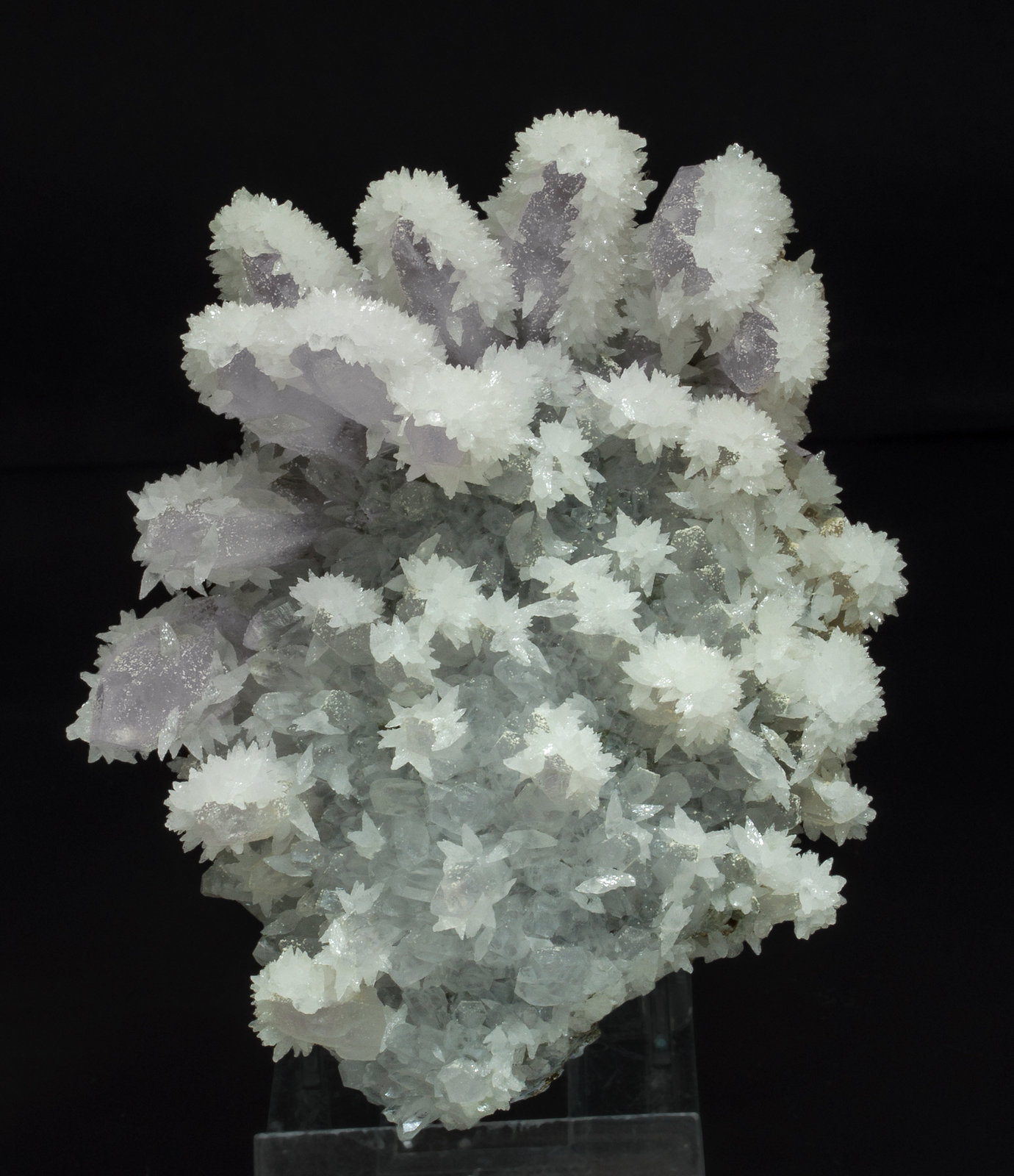 specimens/s_imagesY9/Quartz_amethyst-MH46Y9f.jpg