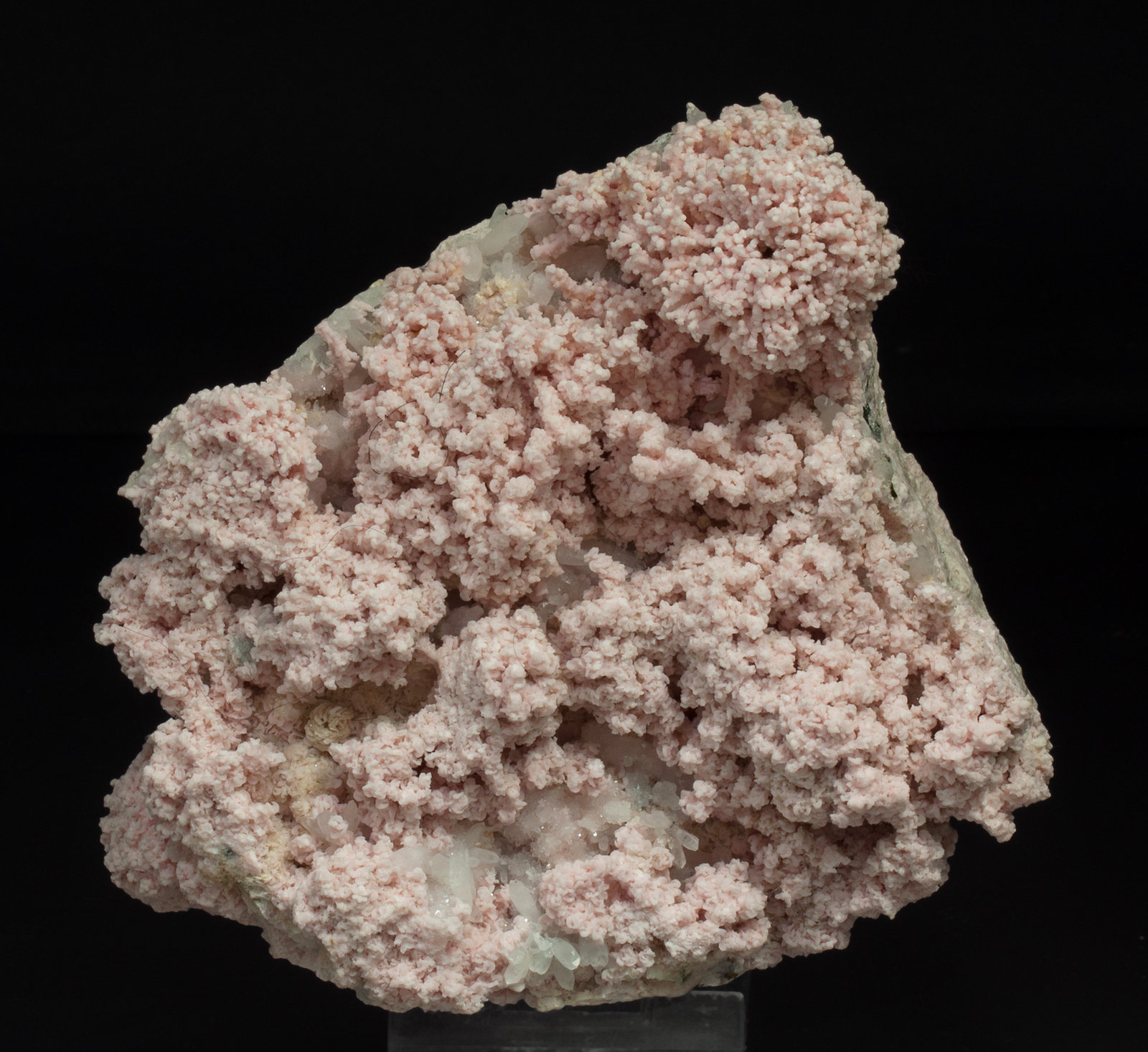 specimens/s_imagesY9/Rhodochrosite-EE87Y9f.jpg