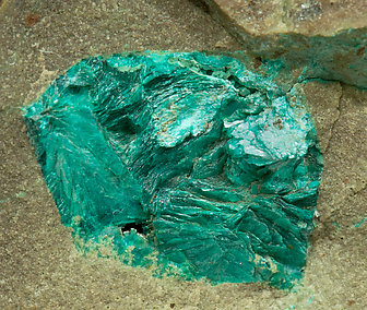 Tyrolite with Azurite and Chrysocolla. 