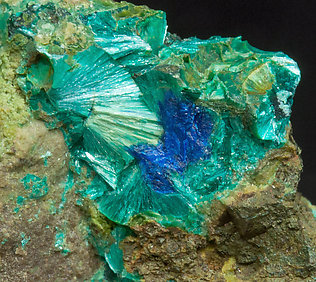 Tyrolite with Azurite. 