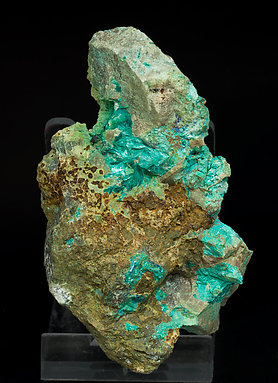 Tyrolite with Azurite. 