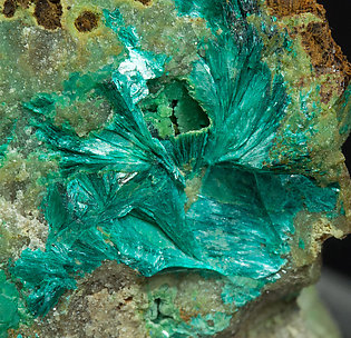 Tyrolite with Chrysocolla. 