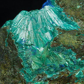 Tyrolite with Conichalcite and Azurite. 