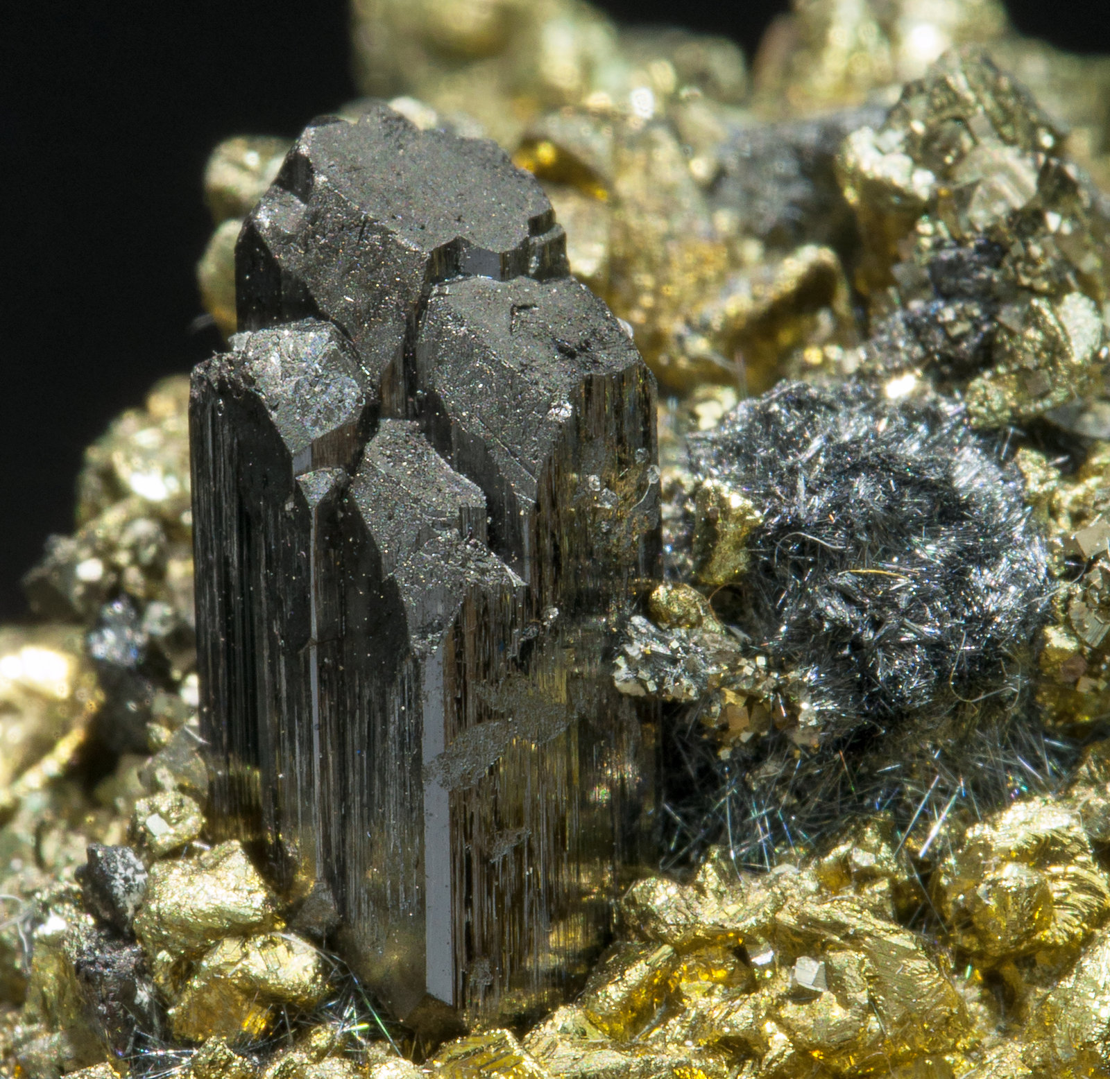 specimens/s_imagesZ0/Chalcopyrite-TA78Z0d.jpg