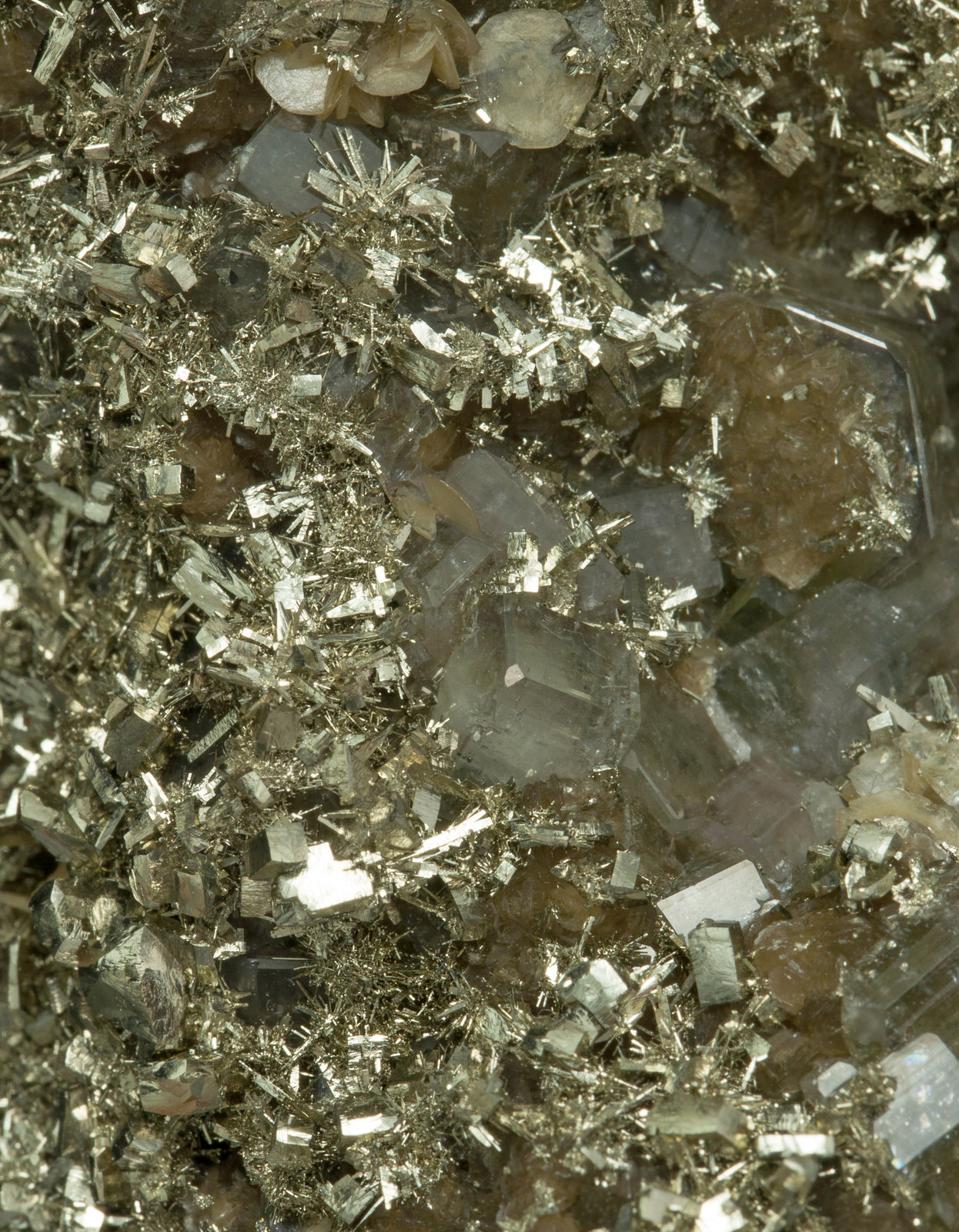 specimens/s_imagesZ0/Fluorapatite-AG27Z0d2.jpg