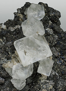 Octahedral Fluorite with Magnetite. 