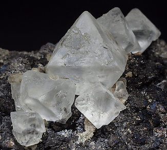 Octahedral Fluorite with Magnetite. 