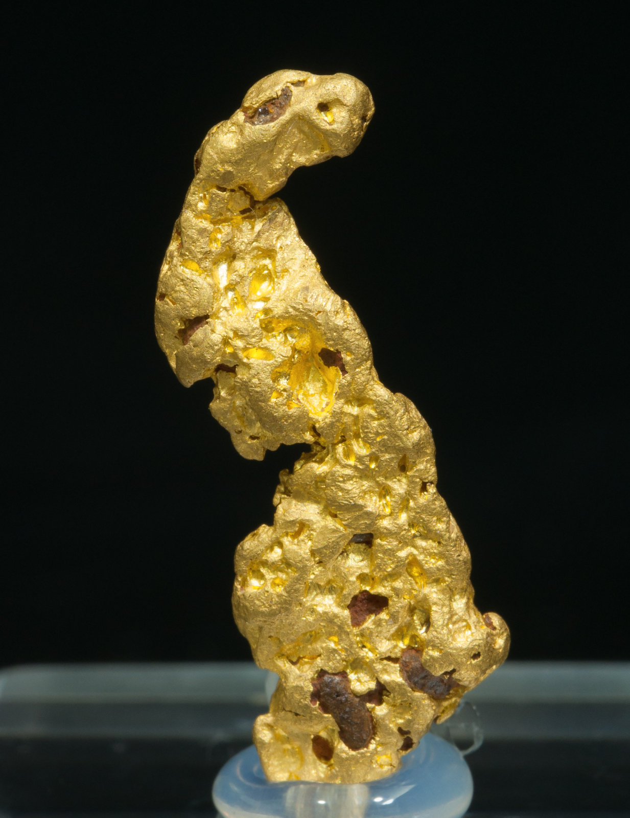 specimens/s_imagesZ0/Gold-NE50Z0f.jpg