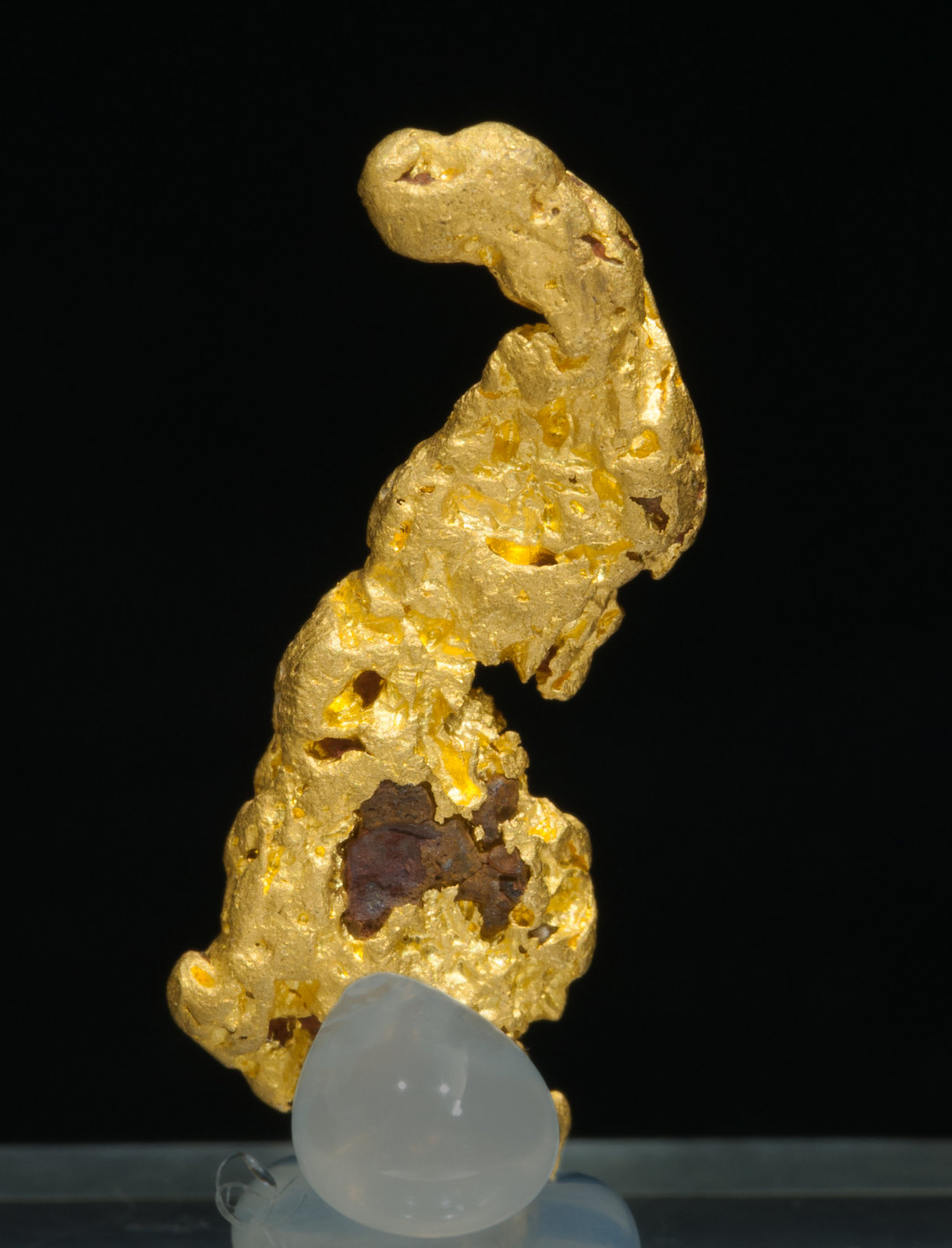 specimens/s_imagesZ0/Gold-NE50Z0r.jpg