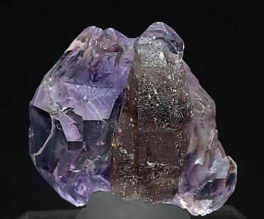 Quartz (variety amethyst) with Quartz (variety smoky). Rear