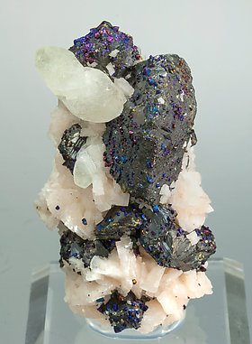 Sphalerite with Chalcopyrite, Calcite and Dolomite. 