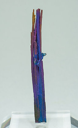 Chalcocite and Djurleite with Chalcopyrite. Front