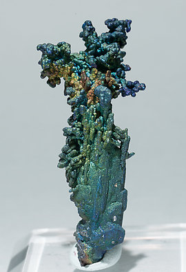 Chalcocite and Djurleite with Chalcopyrite. Front