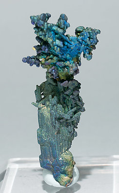 Chalcocite and Djurleite with Chalcopyrite. Rear