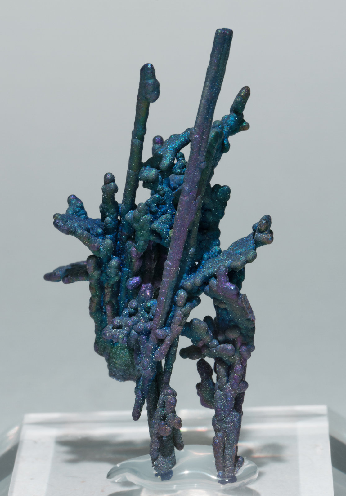 Chalcocite and Djurleite with Chalcopyrite Tongshankou Mine, Edong