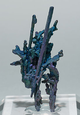 Chalcocite and Djurleite with Chalcopyrite. Front