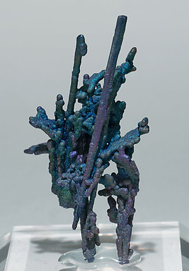 Chalcocite and Djurleite with Chalcopyrite.