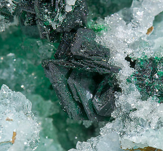 Clinoatacamite with Quartz. 